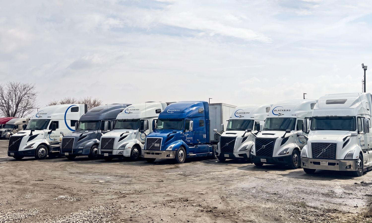 Seven Blackbird Volvo sleeper tractors, six white and one blue, lined up in the company yard